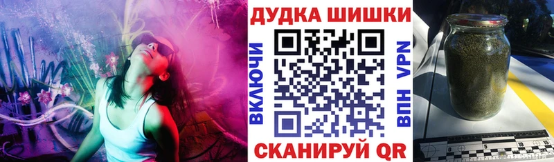 Где купить наркотики Долгопрудный АМФ  Меф мяу мяу  ГАШИШ  Псилоцибиновые грибы  Метамфетамин  Альфа ПВП 