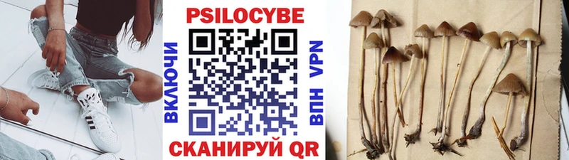 Псилоцибиновые грибы мухоморы  Долгопрудный 